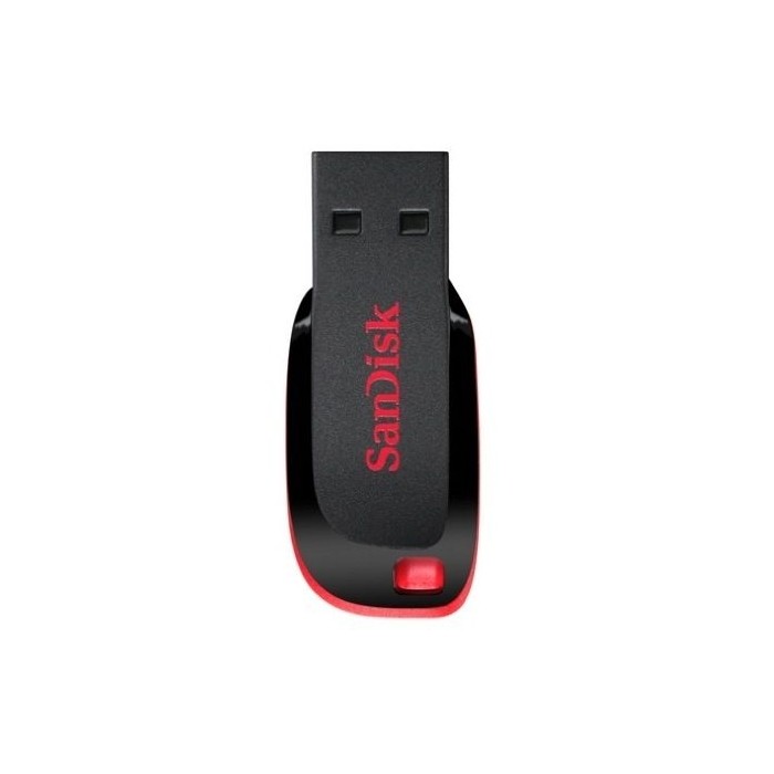 Sandisk 4GB Flash Drive